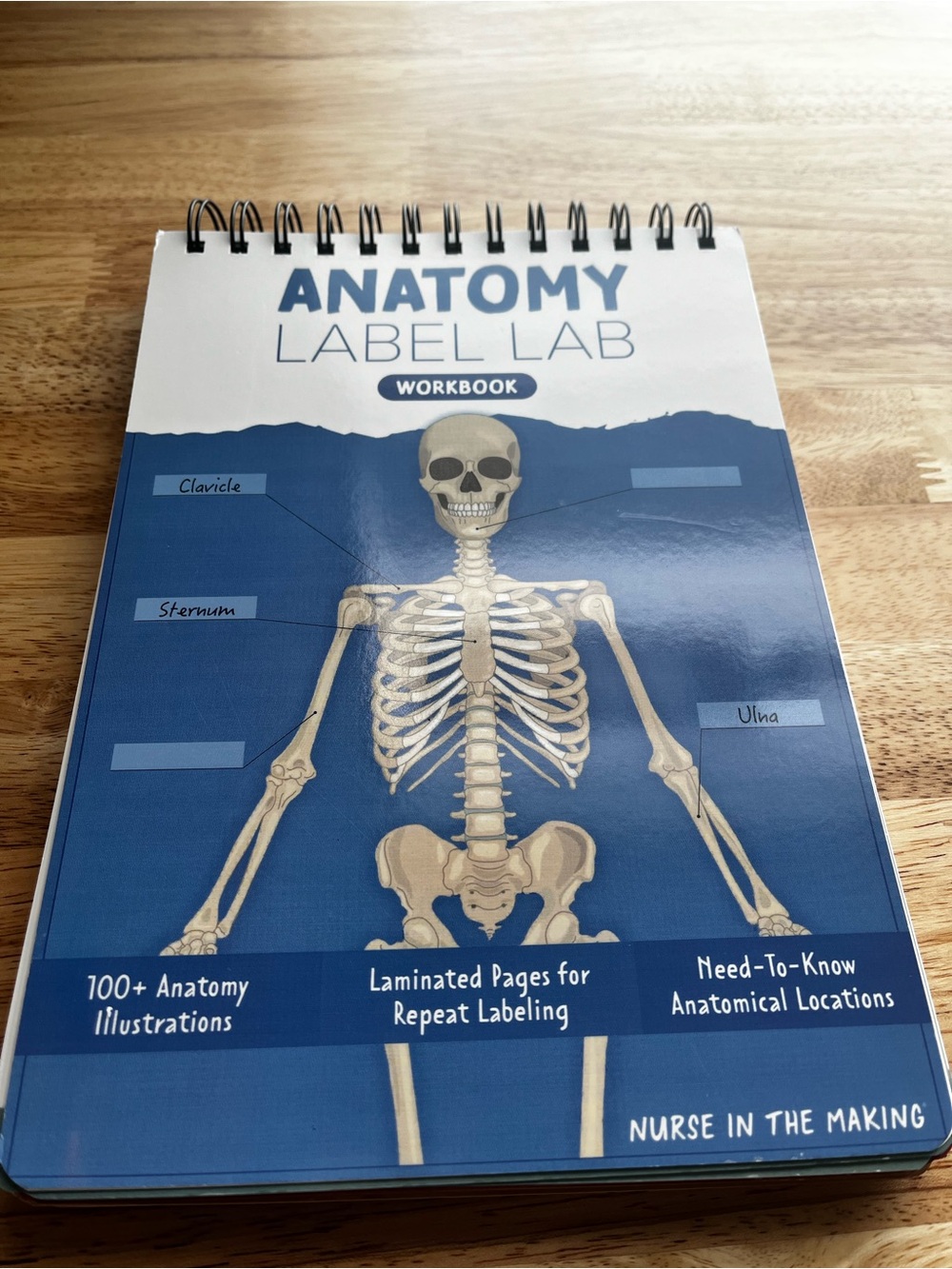 The Anatomy Label Lab Workbook- Nurse In The Making